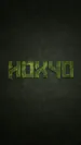 hox4o