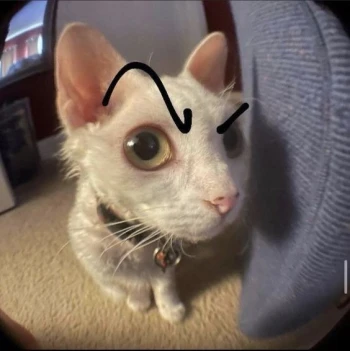 Matttuute