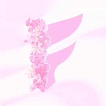 FurinaBurada Kick Profile Picture