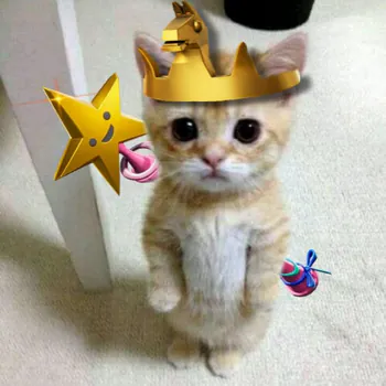 Bauti_000