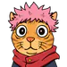 Duiy2k