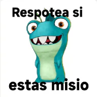 SalvatoreGd