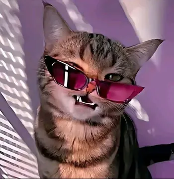 Ryniuuu
