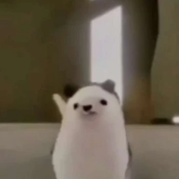 AYDNMSEK