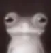 ivanblnc