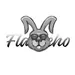 flacucho_rmk