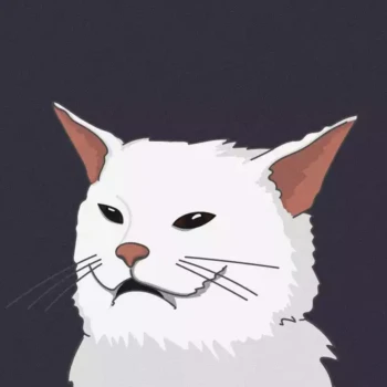 Kick profile picture for @smashes