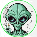 AltoTurbo avatar
