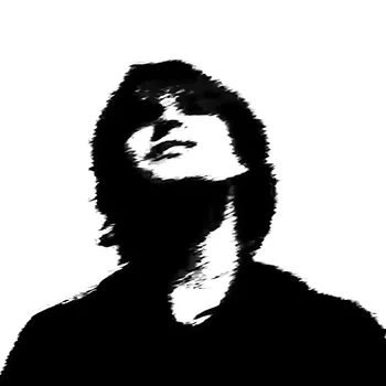 swl_1