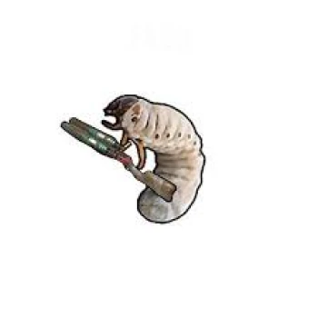 Kick profile picture for @grubbing