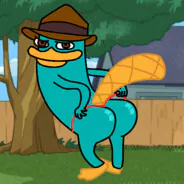 Perryelortito