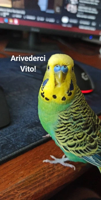 PrdeloBijec