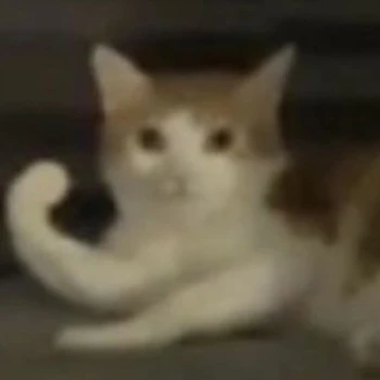 R0N0X