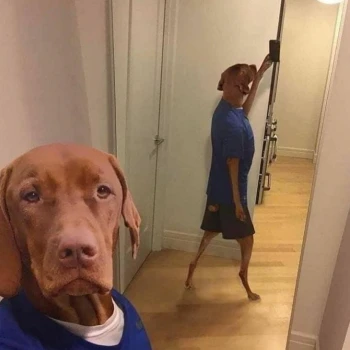 Kick Profile Pic