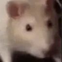 janooo69