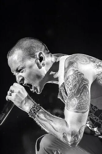 ChesTer_009
