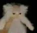 hhxrtz