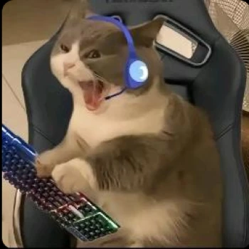 Complej0