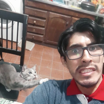 ElFafotas