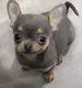 squishysquiz