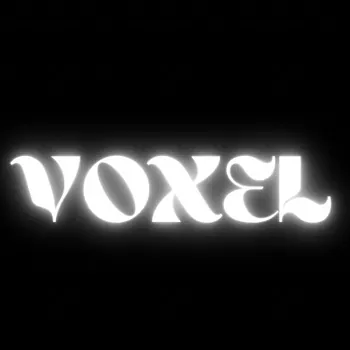 Voxel1