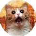 LeoSSJ24