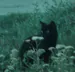 KazyxGambles