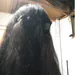 la_tia_cosa
