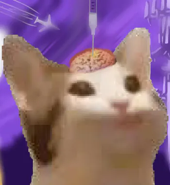Lau_Zzz