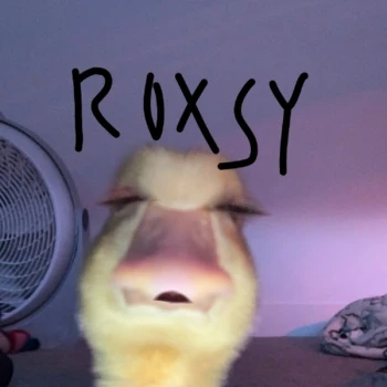 exRoxsy