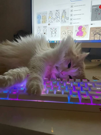 Felousez