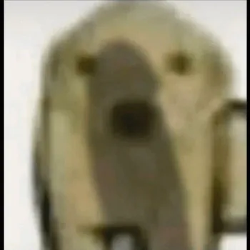 drsimi123