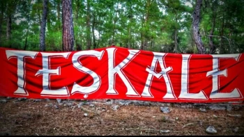 Teskale41