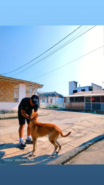 JuniioRodriguez