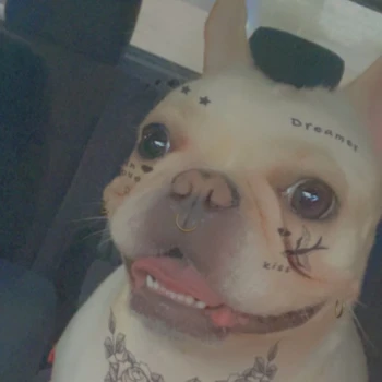 Evolernie