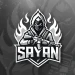sayan5