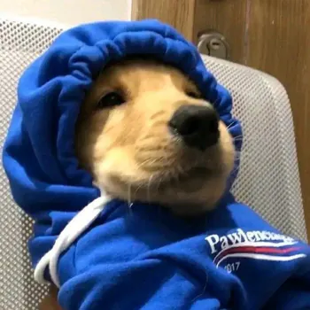 Currucvzla