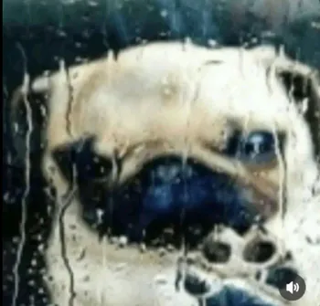 ceetw0