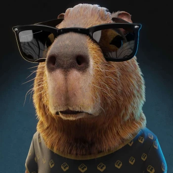RadmeR77