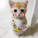 Peruan0_Premium