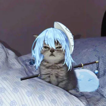 Hokiia