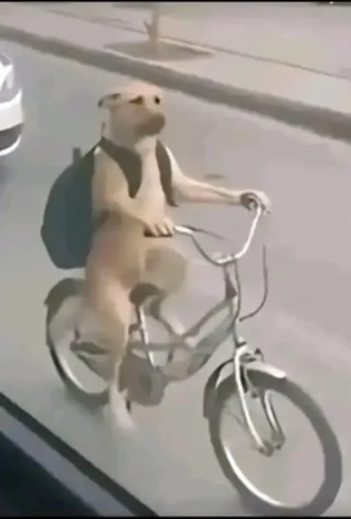 akirabladee