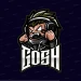 GoshR6