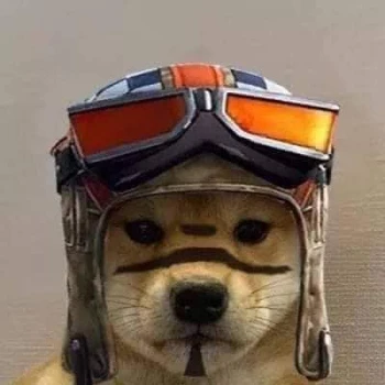 Kick Profile Pic