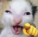 killpopuwu
