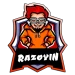Razoryin