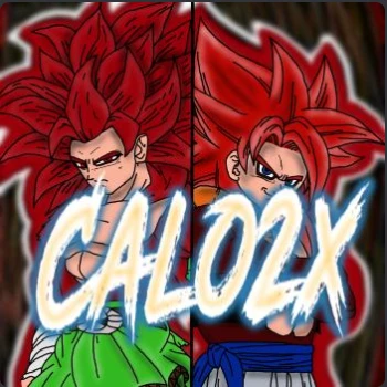 Calo2x