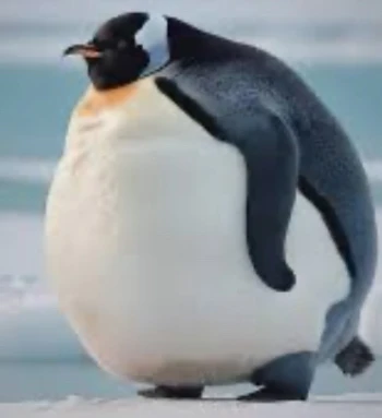 Cergas