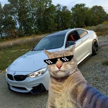 Bruceeeboy