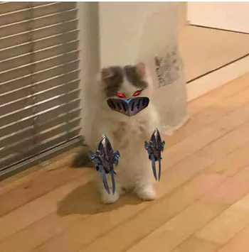 DezhanLoL